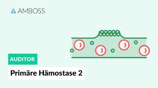 Primäre Hämostase  Teil 2  Physiologie und Medikamente  AMBOSS Auditor [upl. by Mccurdy709]