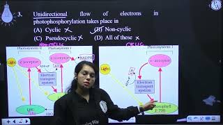 In cyclic photophosphorylation which one of the following is formed [upl. by Dole]