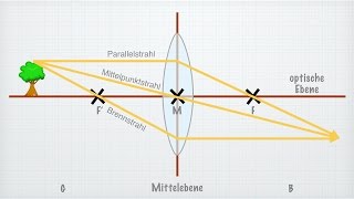 Linsen in der Optik [upl. by Nahseez]