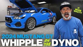 IT MADE WHAT Whipple Supercharged 2024 Mustang GT on the dyno [upl. by Craw]