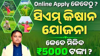 CM Kisan Yojana Odisha  CM Kisan Yojana Online Apply Odisha  CM Kisan Yojana Beneficiary List [upl. by Daub]