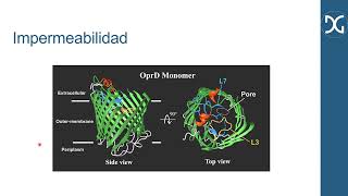 Resistencia bacteriana y PROA 2023 [upl. by Siegfried]