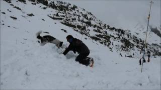 Exercice de sauvetage chien davalanche [upl. by Eeryk]