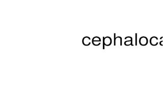 How to pronounce cephalocaudal [upl. by Ocsecnarf]