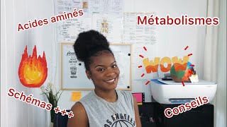 Comment apprendre les MÉTABOLISME  ACIDES AMINÉS en UE 7 schémas PASSLASS🤔💥 [upl. by Adnohryt]