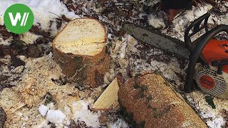 Der Garten im Winter  einen Baum fällen [upl. by Oivalf]