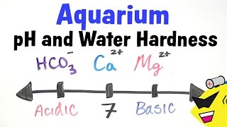 Aquarium pH and Water Hardness [upl. by Egdamlat]