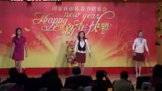 Spring Festival Nobody Dance 2010 [upl. by Nalyt322]