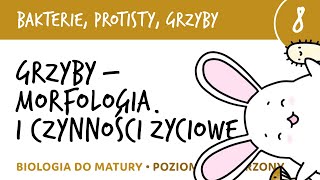 Grzyby  morfologia i czynności życiowe  Bakterie grzyby protisty 8  matura z biologii liceum [upl. by Annoval]