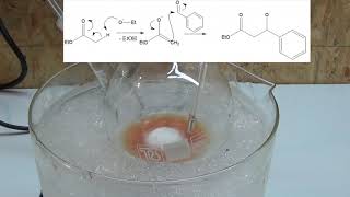 trans cinnamic acid synthesis via claisen condensation part 1 ChemPlayer tribute [upl. by Yleve]