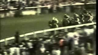 Epsom Derby 1977 and the great Lester Piggott on The Minstrel [upl. by Einafets335]