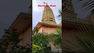 krishna temple hindu viralvideo fyp [upl. by Harimas]