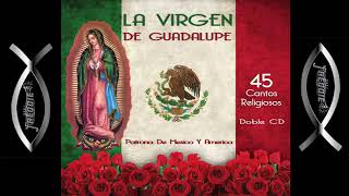 45 Cantos A La Virgen De Guadalupe  Varios Artistas [upl. by Idnod290]