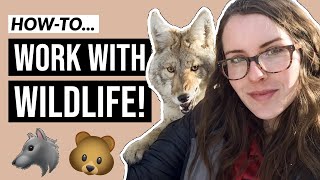 How to Become a Wildlife Biologist in 5 minutes [upl. by Dnomayd]