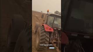 🌏🚜🌾🌾Compartilha o agro não para  agropecuaria agricultor agronomia agro agroétop cowboys [upl. by Ymmas]