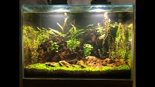 Aquascape 40L [upl. by Ehtylb]