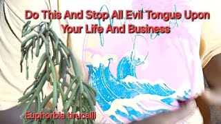 Do This And Stop All Evil Tongue Upon Your Life And Business [upl. by Prober]