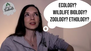 Which job is right for you Ecologist v Wildlife Biologist v Zoologist v Ethologist [upl. by Irneh]