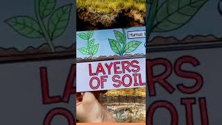 Layers of Soil  Creative Chart socialstudies socialscience geography layersofthesoil [upl. by Lleroj]