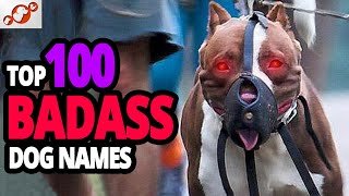 🐕 TOP 100 Badass Dog Names For Male [upl. by Ytissac]