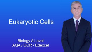 A Level Biology Revision quotEukaryotic Cellsquot [upl. by Esaertal]