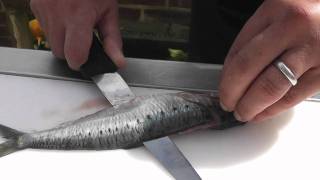 Passionate About Fish  How to prepare Sardines [upl. by Remmer18]