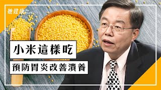 小米加2食材一起吃，預防胃炎、改善潰瘍！｜胃潰瘍｜十二指腸潰瘍｜小米粥｜養胃｜何永成 醫師｜336｜談古論今話中醫 [upl. by Adamis976]