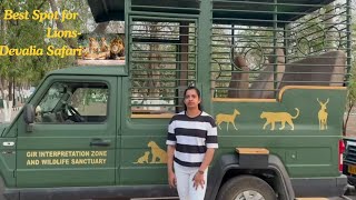 Best Place to Spot Lions in India Devalia Safari lion safari girnationalpark gir [upl. by Aihseya]