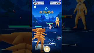 Kabutops 🌊 VS Sylveon 💮 and Mamoswine ❄️  gbl  Pokémon go 🏆 abomasnow [upl. by Owens391]