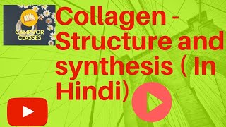 Biochemistry Collagen structure and synthesis HINDI [upl. by Nylirej]