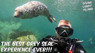 THE BEST GREY SEAL EXPERIENCE  Diving Lundy Island UK [upl. by Hcire852]