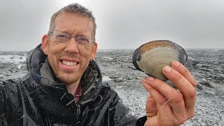 Camping Fishing amp Clamming in a Snow Storm  Coastal Foraging in Alaska [upl. by Hutchinson]