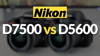 Nikon D7500 vs Nikon D5600D5500 Which DSLR Should You Buy [upl. by Canon]