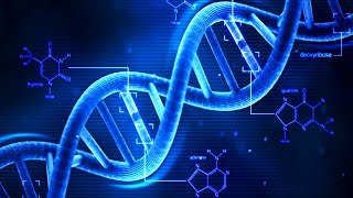 DNA  What is DNA  Basics of DNA [upl. by Mayram252]