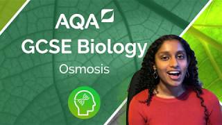 AQA A Level Biology Osmosis [upl. by Rufus]