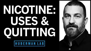 Nicotine’s Effects on the Brain amp Body amp How to Quit Smoking or Vaping  Huberman Lab Podcast 90 [upl. by Caneghem]