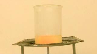 Experiment N°43 Synthesis of salicylic acid English [upl. by Arhna]