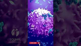 An ulcer being targeted by antibodies [upl. by Ymeon572]