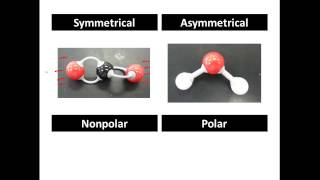 Polar and Non Polar Covalent Molecules Polar vs Nonpolar  CLEAR amp SIMPLE [upl. by Anilec]