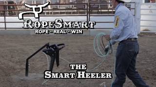 RopeSmart Smart Heeler Ft Pro Team Roper Wesley Thorp [upl. by Yenohtna582]