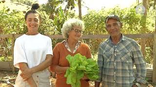 Banco de alimentos ajuda a evitar dano ambiental [upl. by Ettari]