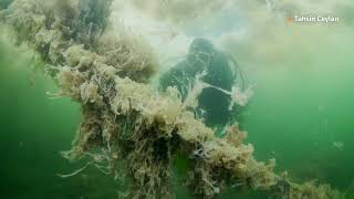 Footage shows sea snot threatening marine life [upl. by Myna621]