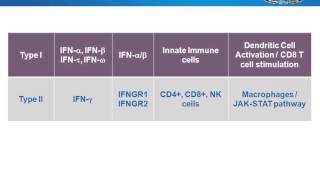 Recombinant protein applications [upl. by Jeffries]