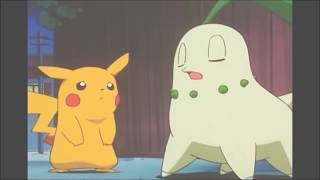 Pokemon AMV Ashs Chikorita  Secret Combination [upl. by Asyral]