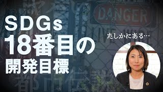 SDGs都市伝説【18番目の開発目標は存在します】 [upl. by Willyt943]