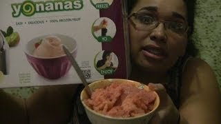 Review Yonanas Frozen Dessert Maker [upl. by Surad]