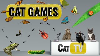 CAT Games  Ultimate Cat TV Bugs and Butterflies Compilation Vol 5 🪲 🐞🦋🦗🐜  Videos For Cats to Watch [upl. by Lancelot]