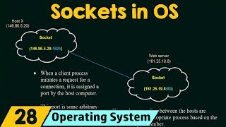 Sockets in Operating System [upl. by Sices]