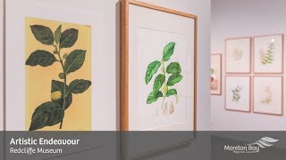 Artistic Endeavour Contemporary botanical artists [upl. by Nylssej]