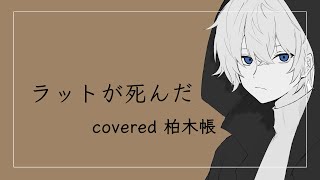 【オリジナルMV】ラットが死んだ  柏木帳【cover】 [upl. by Ahsienek]